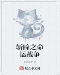 命运战争49在线
