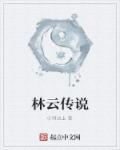 主角林云是哪本书