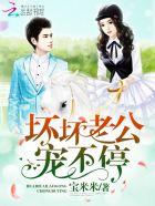坏坏老公宠不停顾夜绯免费阅读