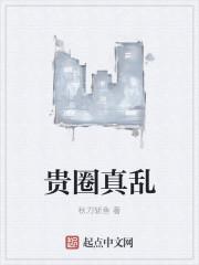 贵圈真乱下一句怎么说