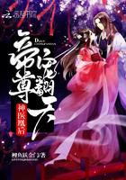 神医凰妃帝尊宠翻天