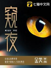 窥伺