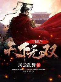 三国之天下无双刘争TXT