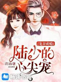 陆少的心尖宠免费阅读全文