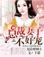 宠妻如命危险总裁别靠近免费