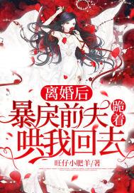 离婚后前夫哭求复合全文免费阅读