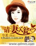 请妻入甍
