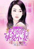 豪门暖婚之权爷追妻攻略全文免费阅
