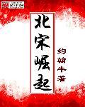 南宋崛起