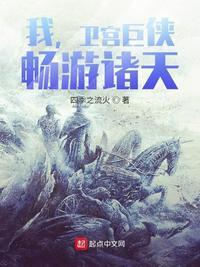 我，卫宫巨侠，畅游诸天！