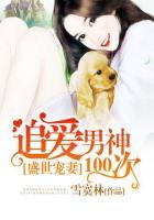 盛世宠妻:追爱男神100次